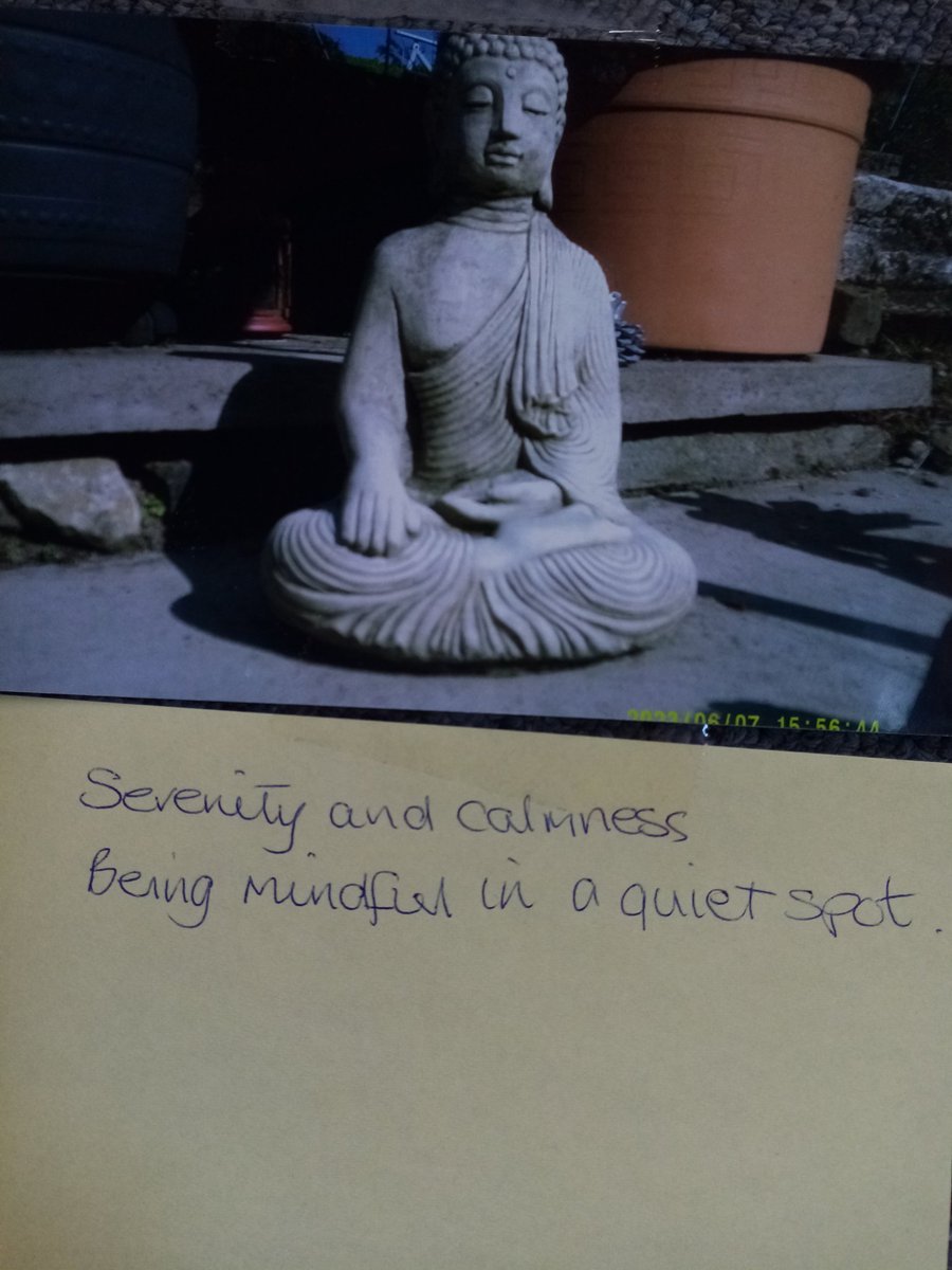 MS Argyll Snowdrop Centre tweet media