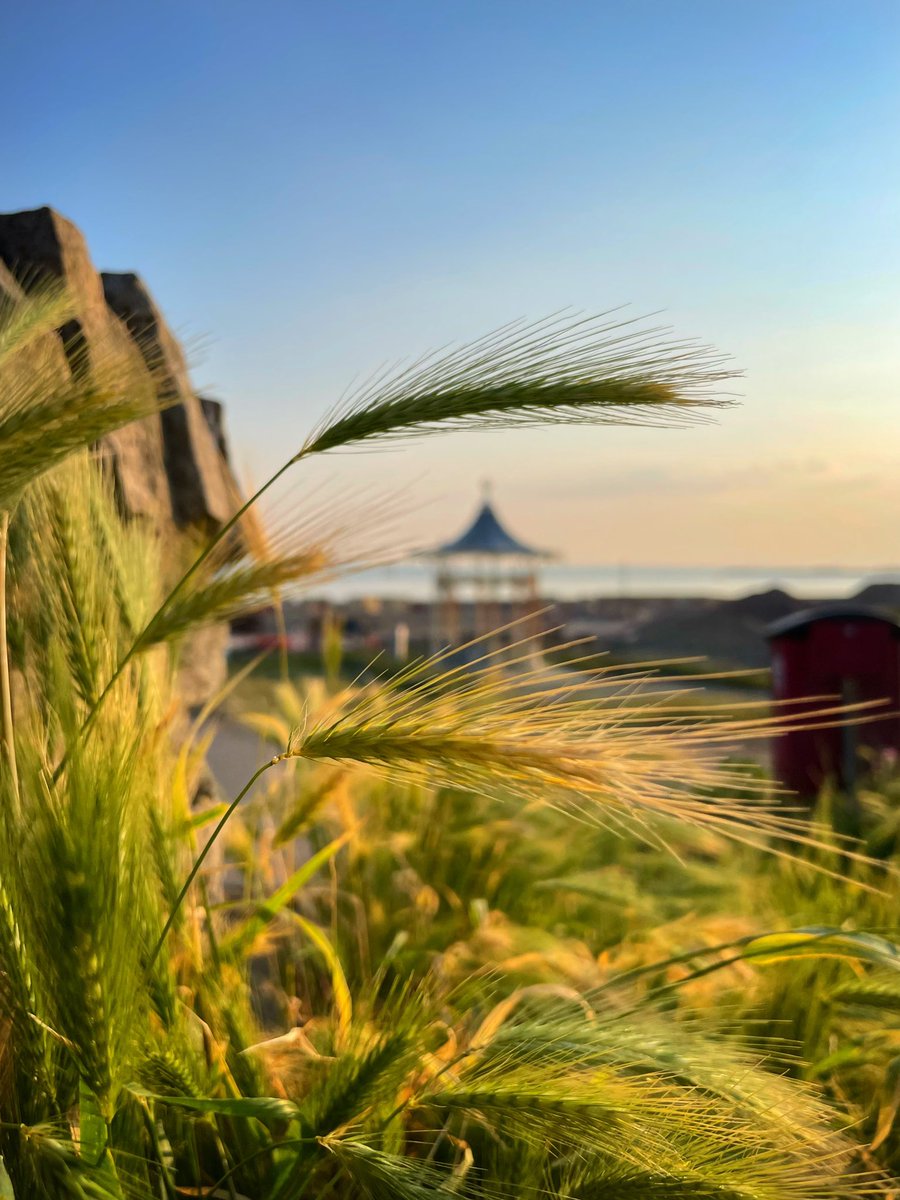 Hazy warm summer evening vibes down at the bandstand 😎

#southsea #portsmouth  #lifebythesea