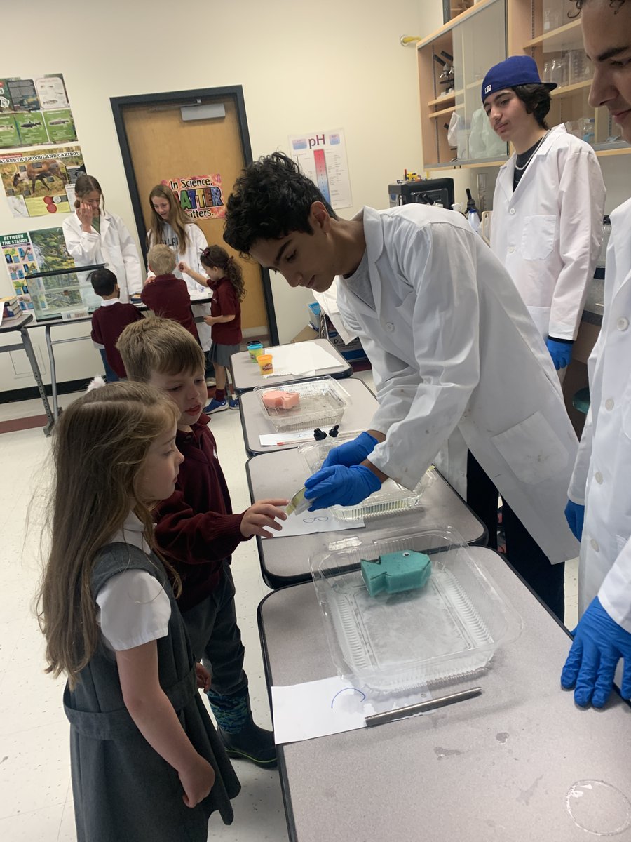BohayJulie's tweet photo. It's the cutest day of the year! The grade 8's did a fantastic job reviewing their exam material for our kindergarten classes, and some adorable new friendships were made as well!
#Kindercollab
#becurious
@RundleJrHigh https://t.co/uN6sqIGkvi