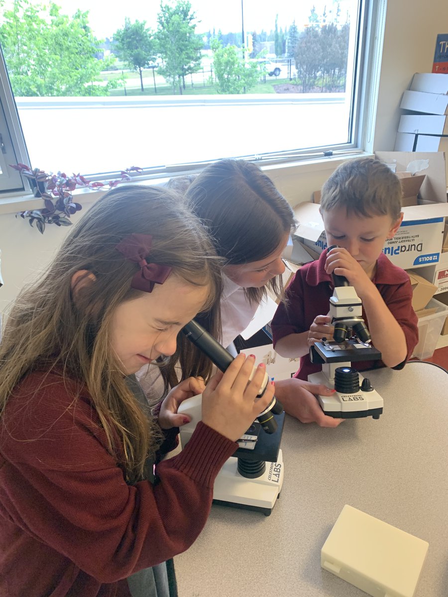 BohayJulie's tweet photo. It's the cutest day of the year! The grade 8's did a fantastic job reviewing their exam material for our kindergarten classes, and some adorable new friendships were made as well!
#Kindercollab
#becurious
@RundleJrHigh https://t.co/uN6sqIGkvi