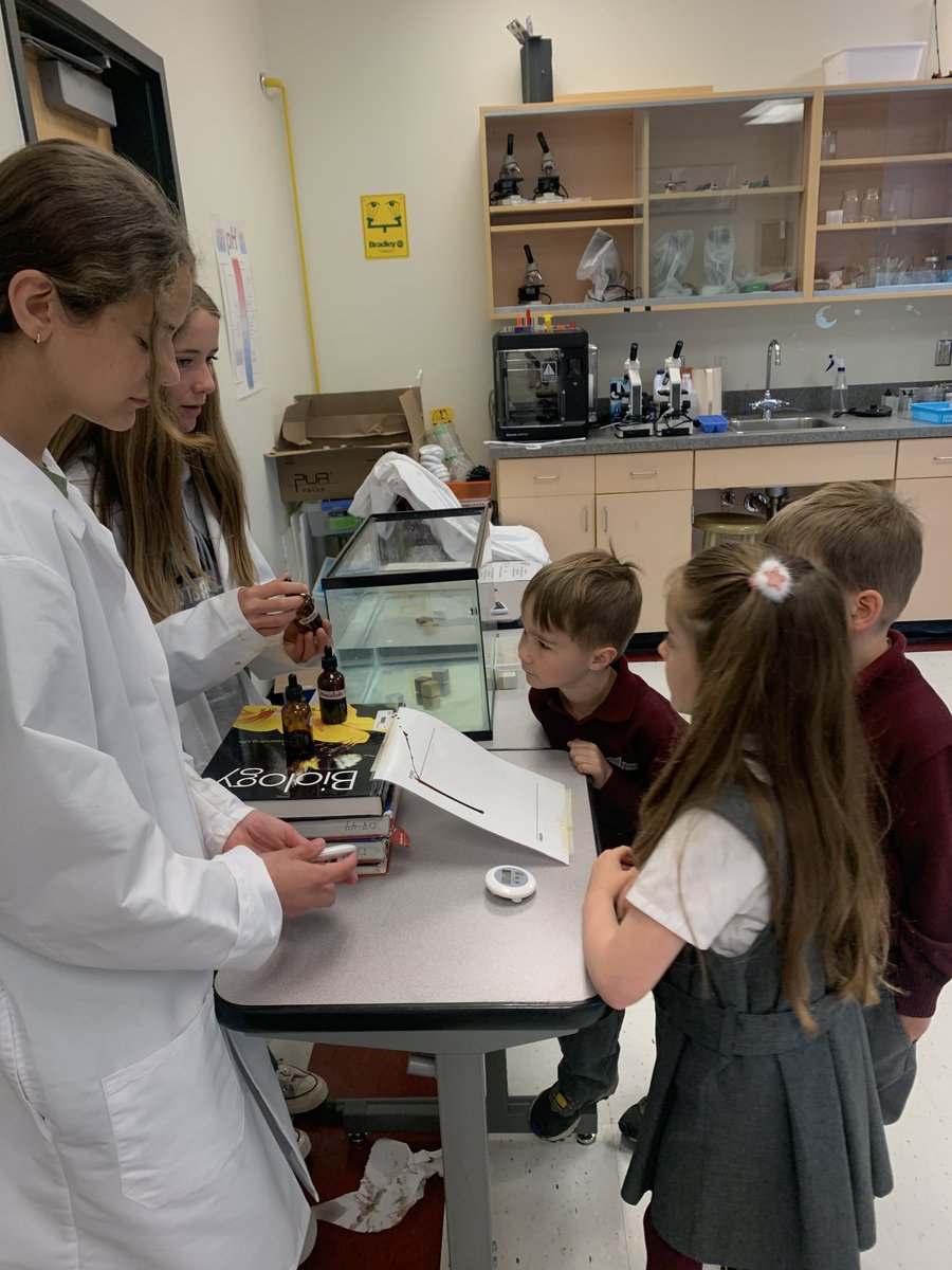 BohayJulie's tweet photo. It's the cutest day of the year! The grade 8's did a fantastic job reviewing their exam material for our kindergarten classes, and some adorable new friendships were made as well!
#Kindercollab
#becurious
@RundleJrHigh https://t.co/uN6sqIGkvi