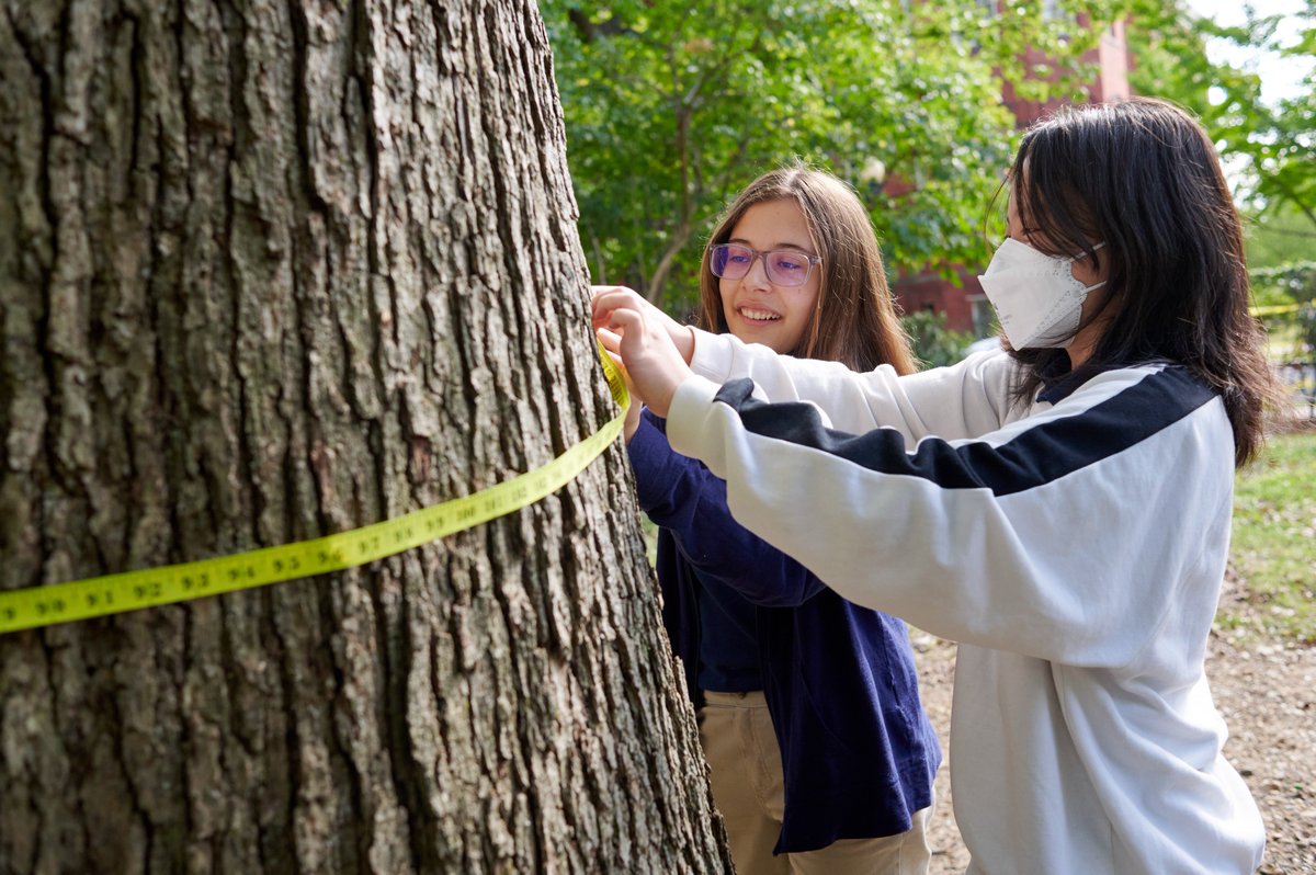 PLT_Canada's tweet photo. PLT Canada and @ACEE_Socials are excited to lead a cohort of Canadian educators to the Summer Institute for Climate Change Education.

This July 17–21, you will gain the skills, tools, and resources to teach climate change concepts and empower students in all subject areas. https://t.co/p7cYi7PvFV