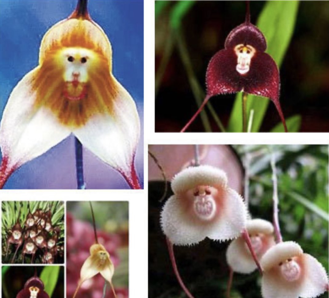 Waking Zone tweet media