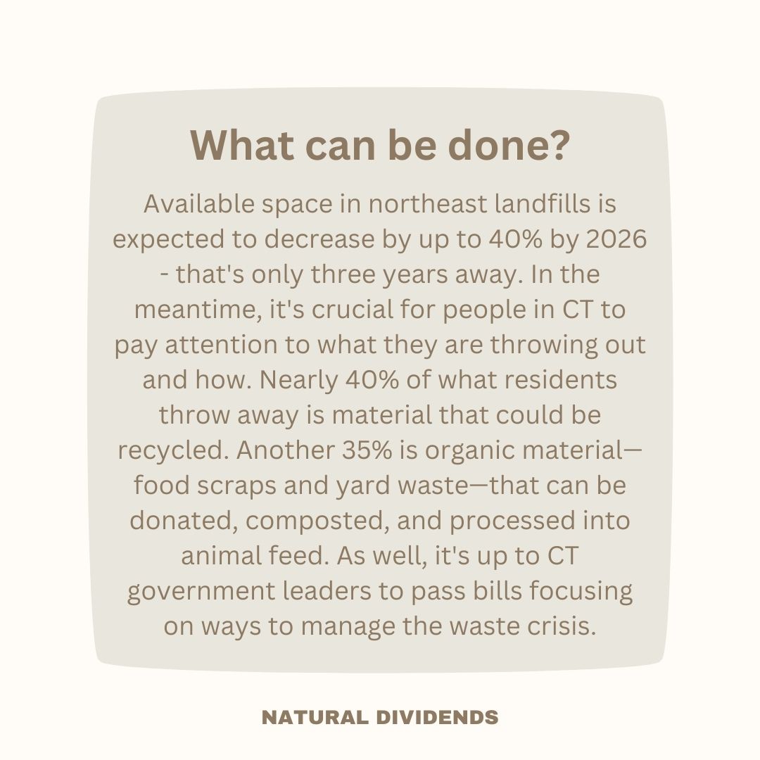 natdividends's tweet photo. Sorry for the short hiatus, but What's New With Nature is back!!!

For the month of June, we're looking at CT's waste crisis. That's right, if you didn't know already, we're unfortunately in the middle of a crisis. 

*For the full post visit our Insta or LinkedIn.* https://t.co/SaEX2yqWsK