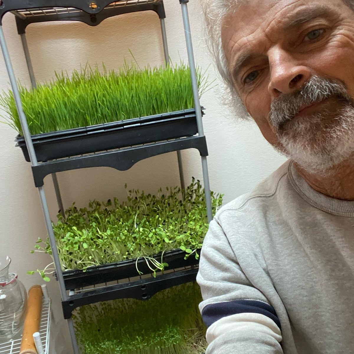 HamiltonOrchids's tweet image. Staying up with the #sprouting #raw #vegan #lifestyle  Rockin-vegan.com #coach