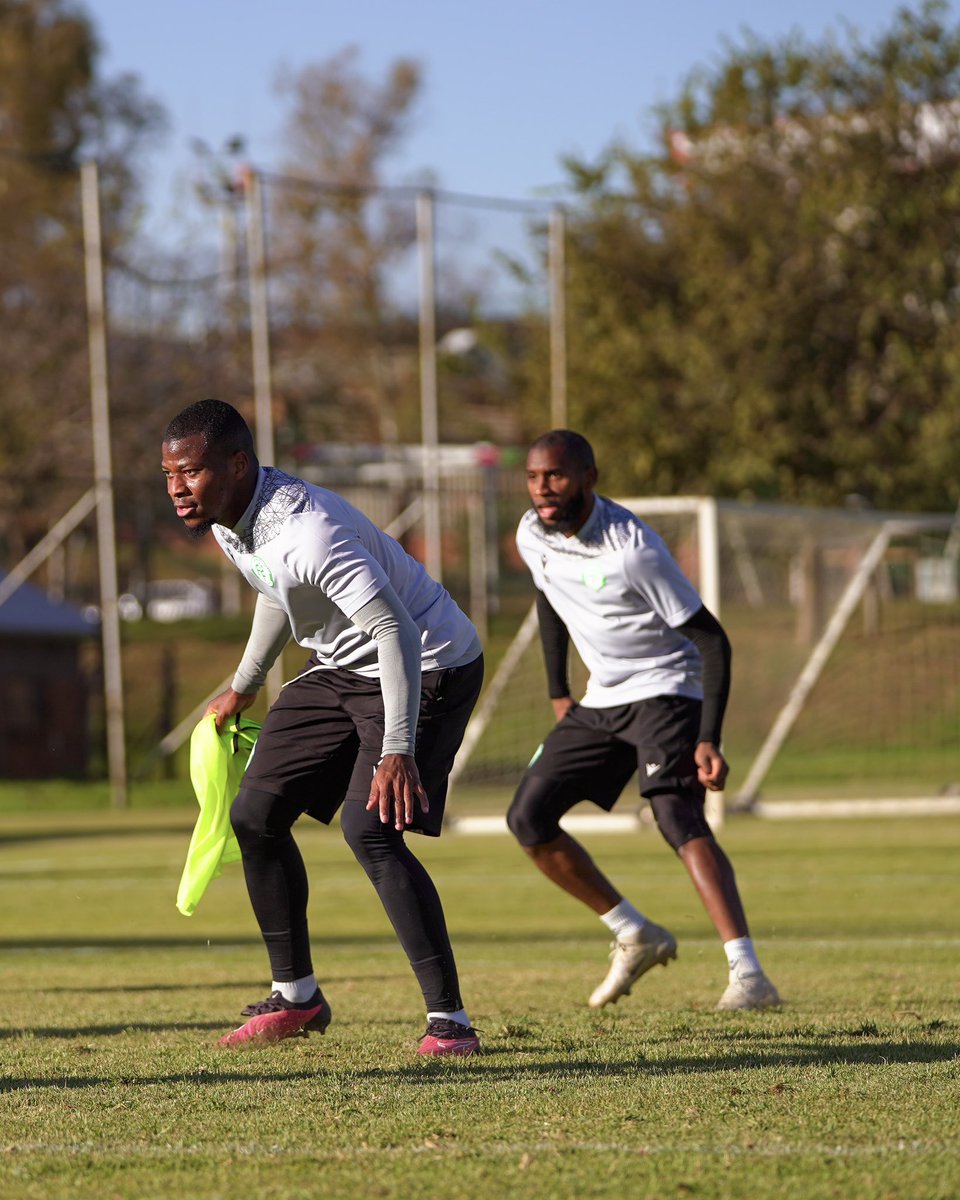 Les Cœlacanthes des Comores 🇰🇲 tweet media