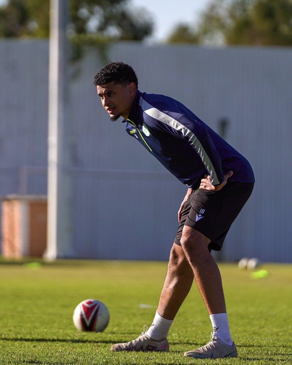 Les Cœlacanthes des Comores 🇰🇲 tweet media