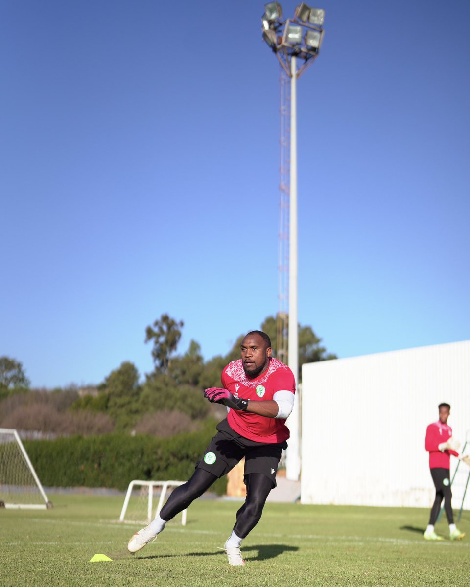 Les Cœlacanthes des Comores 🇰🇲 tweet media