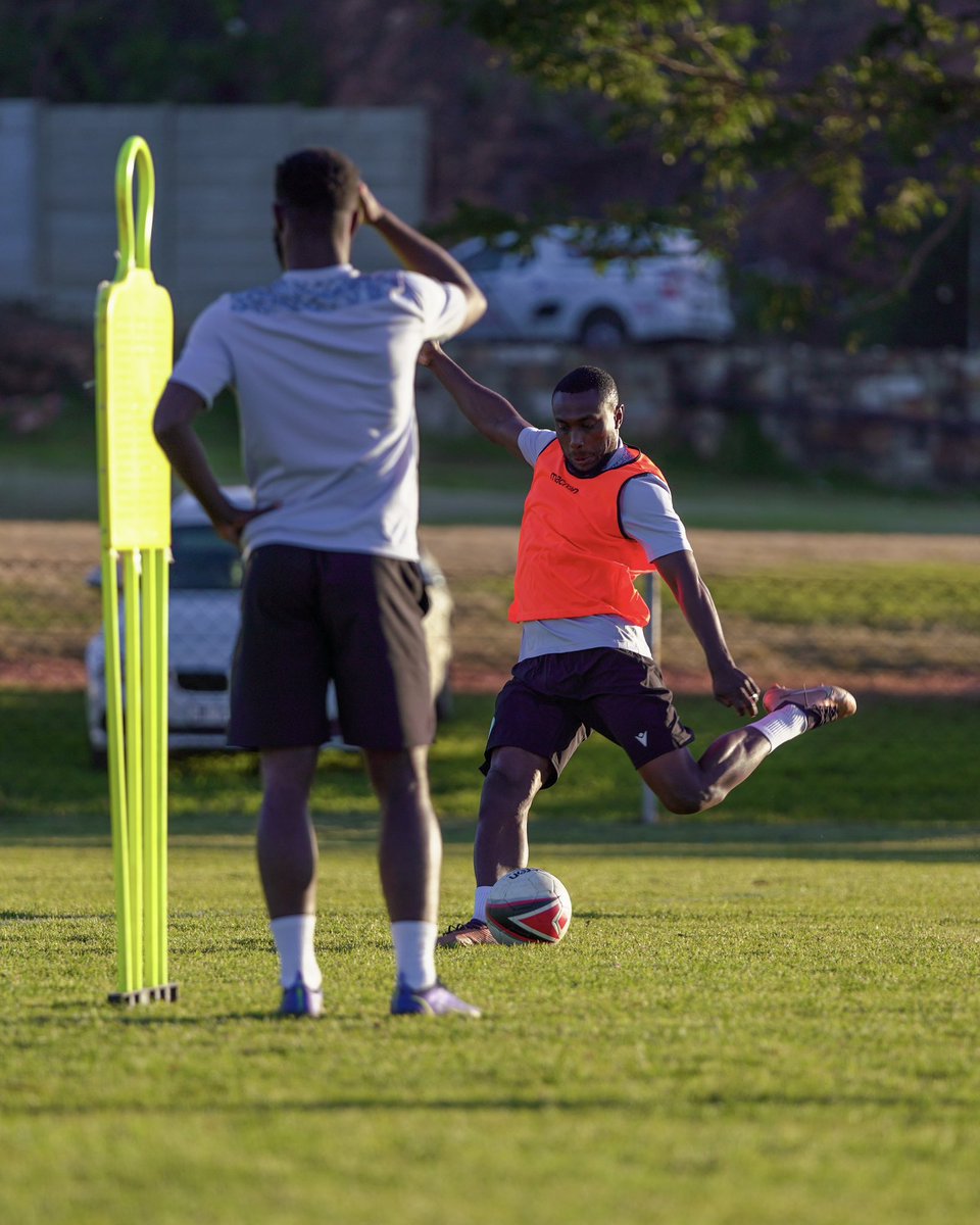 Les Cœlacanthes des Comores 🇰🇲 tweet media
