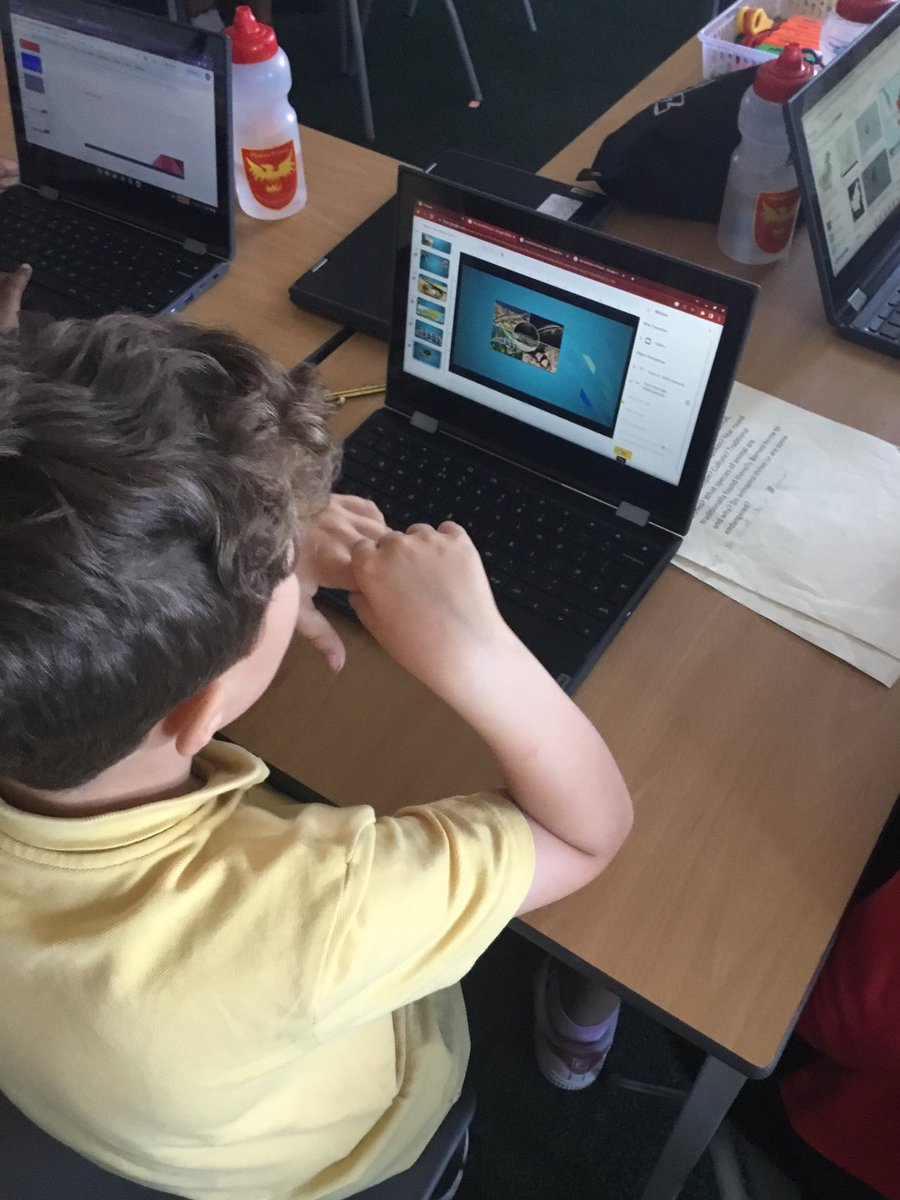 Year Four Phoenix Primary tweet media