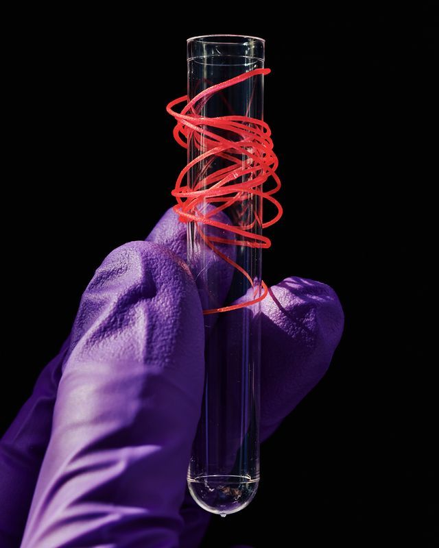 Natural and neon? Brooklyn based company Werewool is making bright color fibers from natural proteins like those that have long made coral reefs glow. <a href="/PNASNews/">PNASNews</a> reports on how #BioMaterials are the next innovation in #SustainableFashion
tinyurl.com/2s9nb7ef