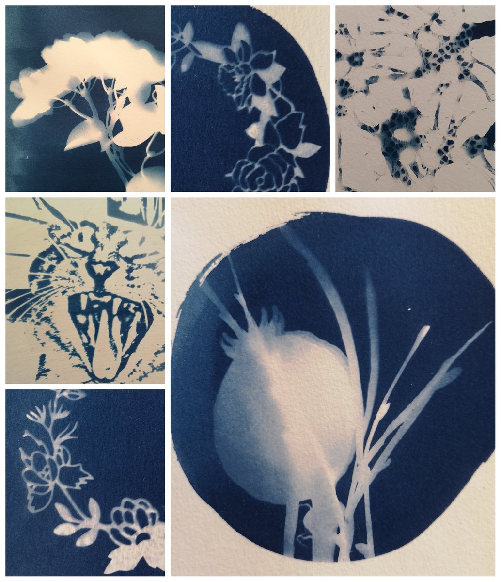 LauraDentArt's tweet photo. Perfect weather for a day full of #cyanotypes
Experimented with photographic and natural imagery on wood, stone, ceramics and paper
#Blue #sunshine #sunprints #ArtistOnTwitter #artoutdoors #creativitymatters #summer #heatwaveuk #heatwave #cyanotypes #neverbored #arteveryday https://t.co/PgwsqwJInZ