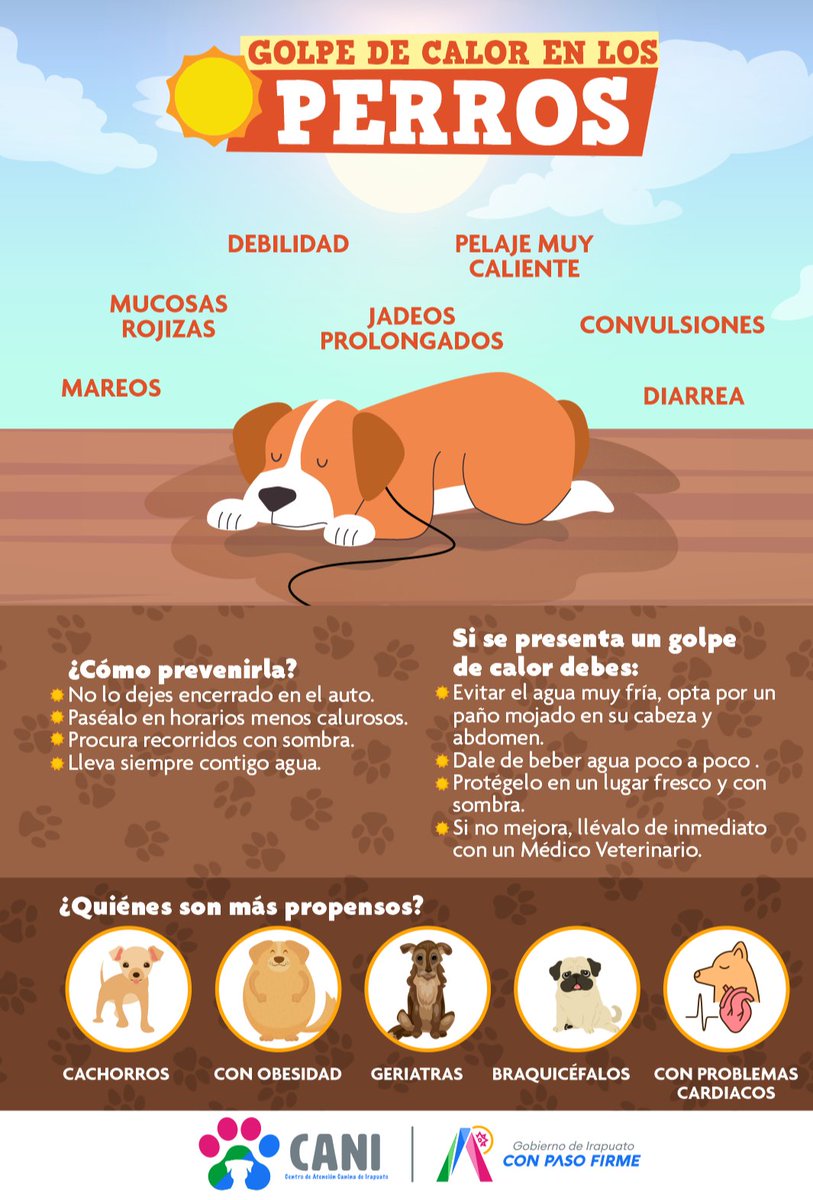 CANIrapuato's tweet photo. #CANITips | 🐾 ¡Las altas temperaturas también afectan a nuestras mascotas! Sigue las recomendaciones y evitemos un golpe de calor.

#CANIAmigos https://t.co/k0271knUF8