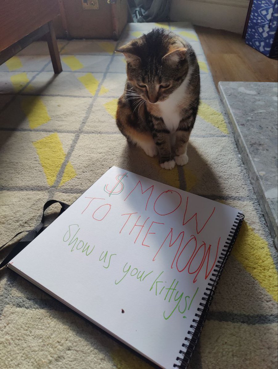 Twitter bot is set to go live by tomorrow, chart floored, and community hyped with cat memes. Feels like bullrun days - do you care to join us? $mow