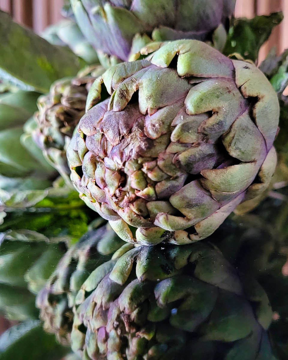 Here at Delahunt we take pride in crafting our dishes with only the freshest, seasonal ingredients. Feast your eyes on these gorgeous artichokes, soon to steal the show in our new lunch dish tomorrow!

To make a booking for lunch just click the link in our bio.