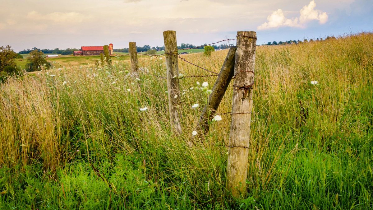 Homesteading: How Many Acres Do You Need To Achieve Your Homestead Dreams Of Self-Sufficiency? #homesteading #homestead #survival #offgrid
oldschoolsurvivalbootcamp.com/f/homesteading…