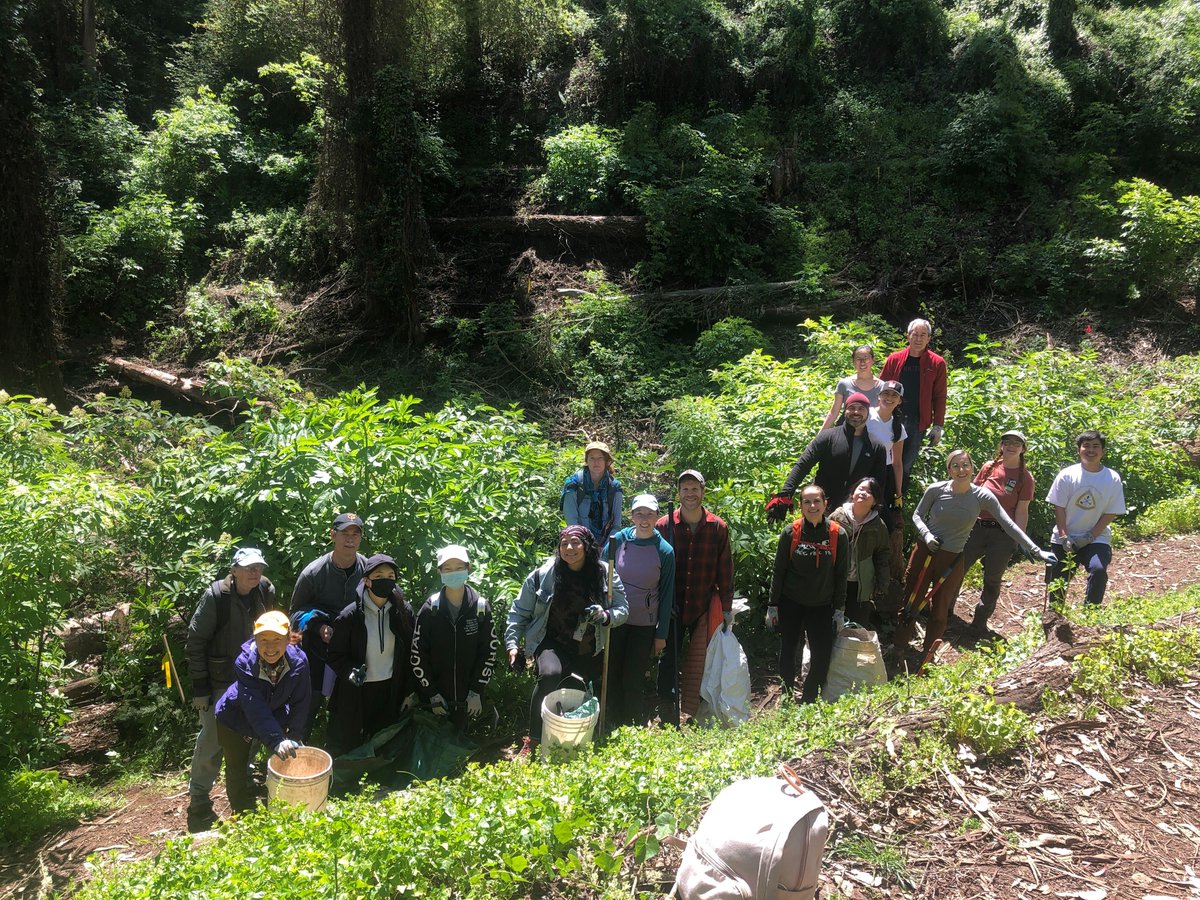 Sutro Stewards tweet media
