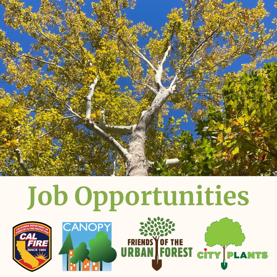 There are some new Job Opportunities with our friends at <a href="/CanopyTrees/">Canopy</a>, <a href="/CityPlants/">City Plants</a>, <a href="/SFUrbanForester/">Friends of the Urban Forest</a>, and <a href="/CAL_FIRE/">CAL FIRE</a> UCF Program. See the thread below for more information!  🧵👇