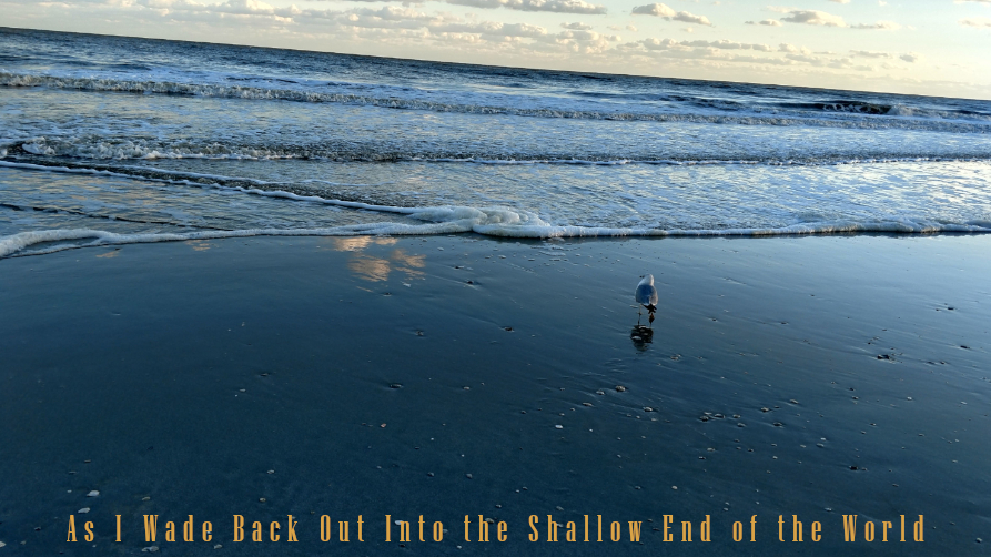 michaelchanning's tweet image. New poem: As I Wade Back Out Into the Shallow End of the World

#POEMS #poetry 
paperkingdom.com/poems/as-i-wad…