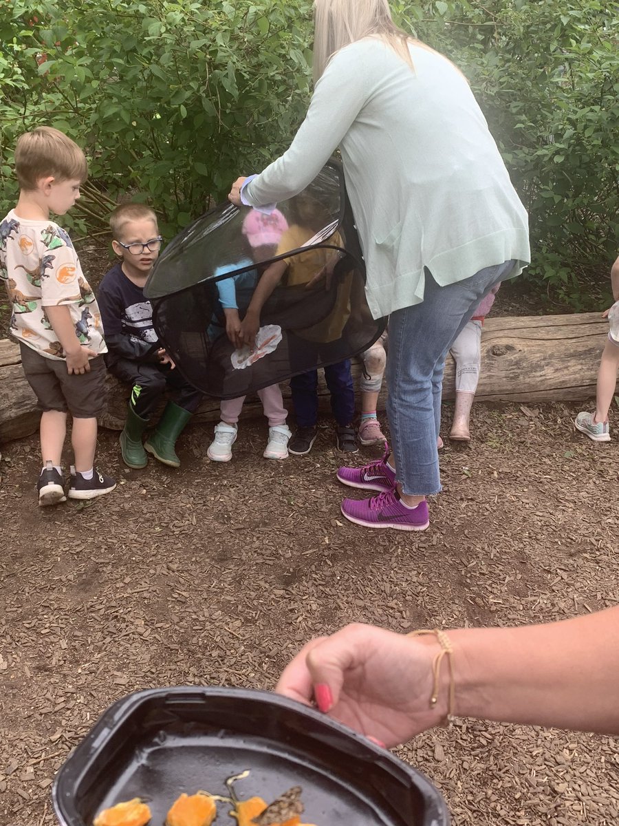 Kindergartens releasing their butterflies!