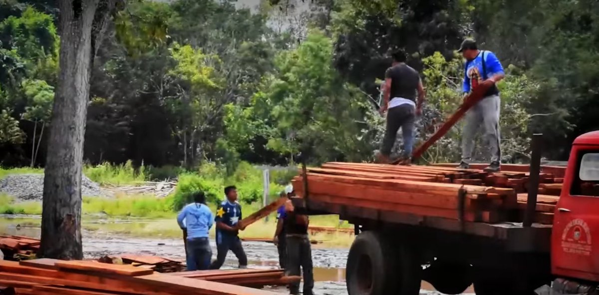 Agroforest_JAL's tweet photo. Francisco Montalvo es Técnico Forestal de la #RITER Noh- Bec en Quintana Roo, donde se desarrolla un manejo forestal comunitario y sostenible.
Una buena planeación, selección y comercialización del producto forestal garantiza un producto 100% certificado.
https://t.co/iD1hbcdDO1 https://t.co/CWpFPY6wje