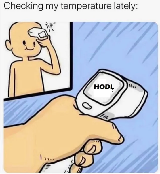 blooofworld's tweet photo. Remember when 'hodl' was just a typo? Now it's a #meme AND an investment strategy #HodlLife #Tokenomeme https://t.co/Vz3lnsskLC