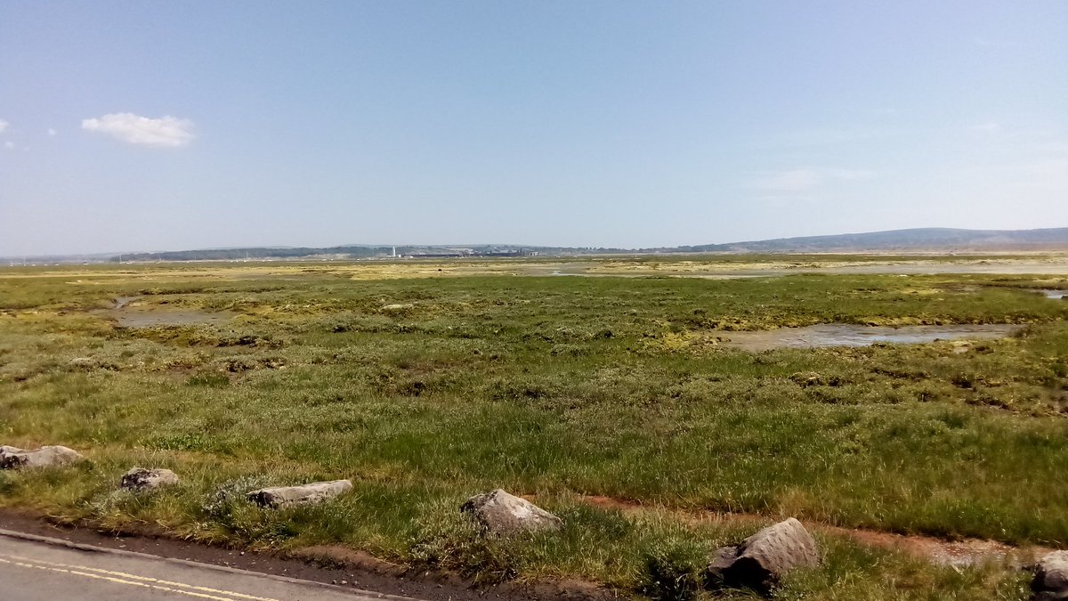 RollingBeachHut's tweet photo. Living free with another million £ view I get to call home for the next couple of days. Saltgrass lane, Milford on Sea, the salt marsh and occasionally the road floods at high tide.

There's a lovely cool breeze here today too 😍

#vanlifediaries #vanlifeculture #vanlife https://t.co/1o64TP7aOJ