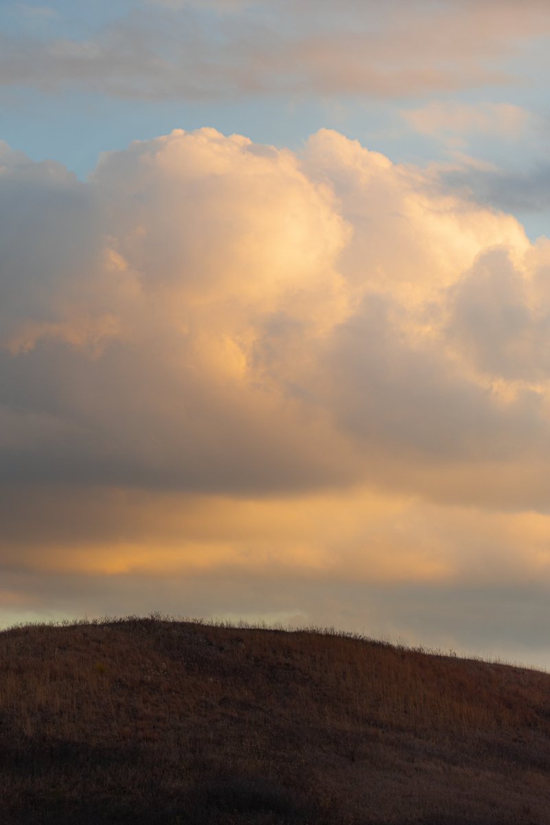 adrian_handzel's tweet photo. | Restful Hill |

 November 2020

A rare shot of a landscape from me, which is something I never take photos of! https://t.co/OkYIRjWDYV
