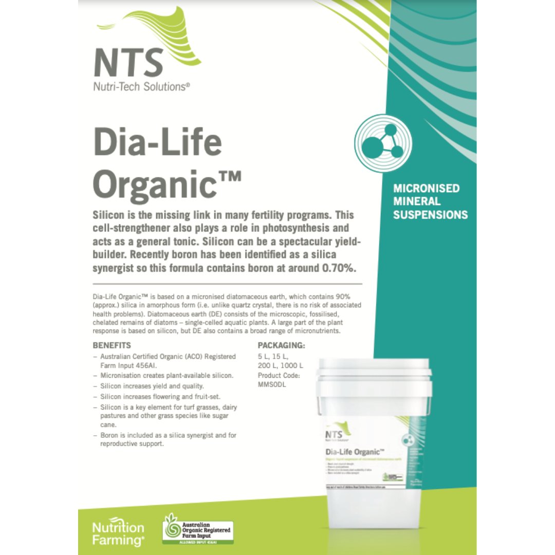 NewGenAgri's tweet photo. 🌿 Embrace sustainable farming in Co. Tipperary, Ireland! 🌿
Discover the incredible impact of Dia-Life and farmers own biological program in this remarkable image of Notill No fungicide wheat.
Visit our website: https://t.co/Jzjz4O6FCb #SustainableFarming #DiaLife #CoTipperary https://t.co/sRQDOCw8Pn