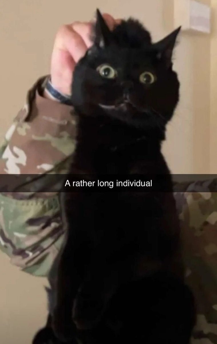 Catsillyness's tweet photo. https://t.co/nAtxv2fCfH