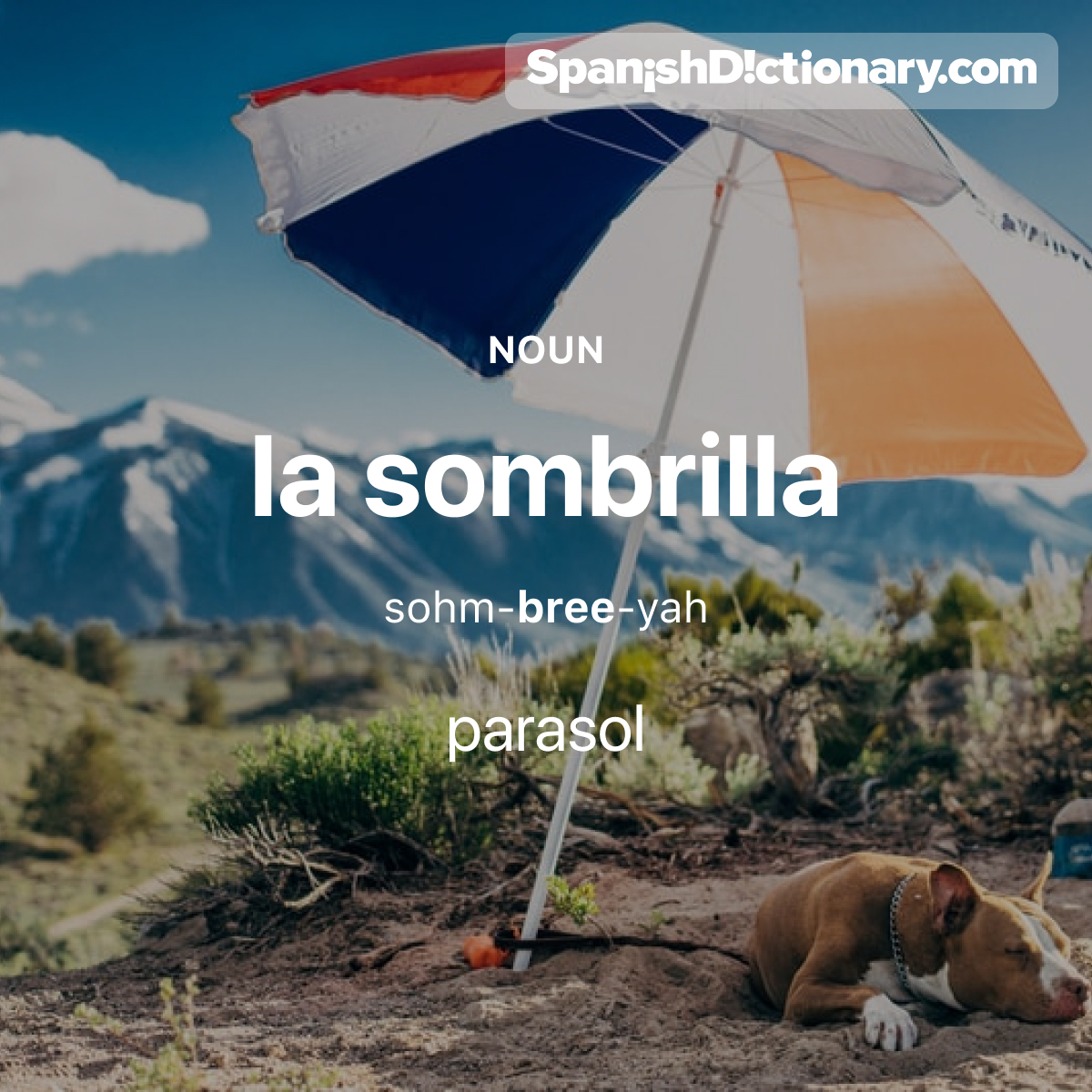 Today's #WordOfTheDay is 'sombrilla.' 🏖️ For example: Spot descansaba bajo una sombrilla.  - Spot was resting under a parasol.
.
.
.
#EstudiaEspañol #StudySpanish #AprendeEspañol #LearnSpanish #Español #Spanish #LearningSpanish #PalabraDelDia #sombrilla