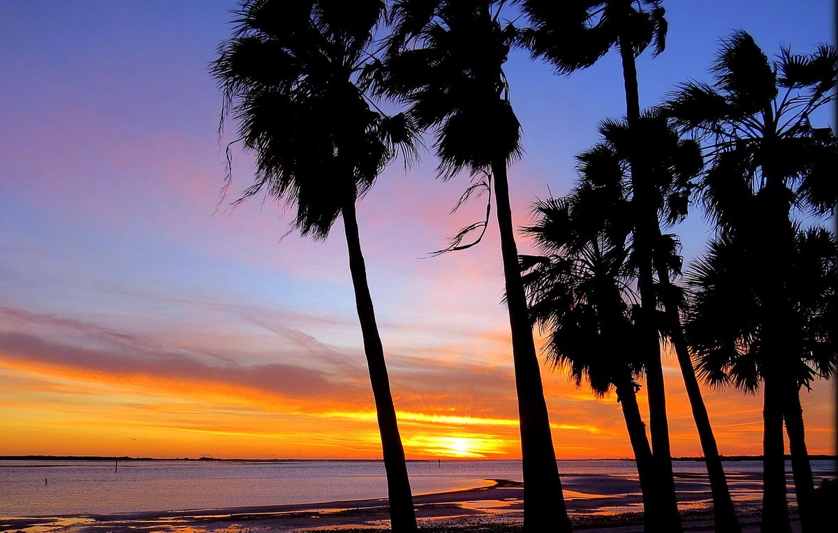 Chris West tweet media