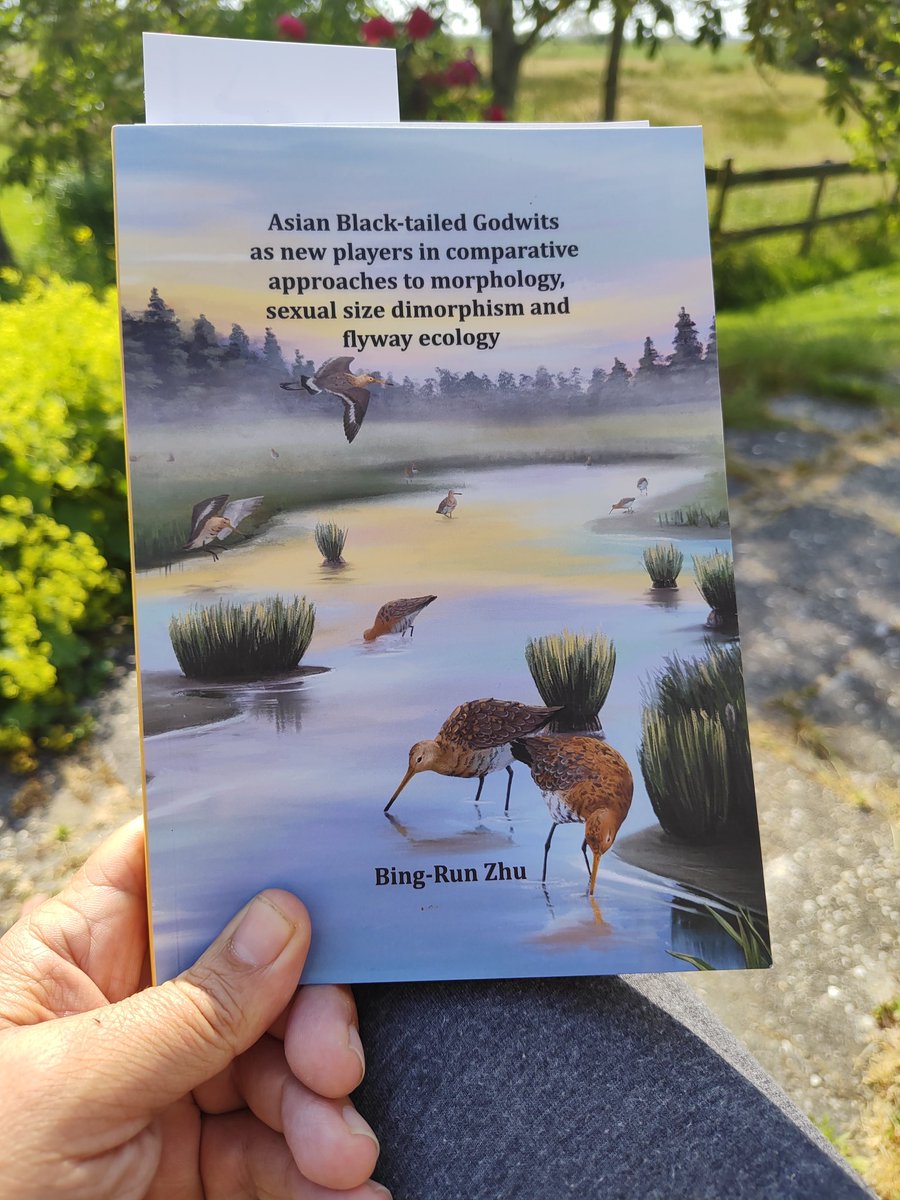 Wouter Vansteelant tweet media