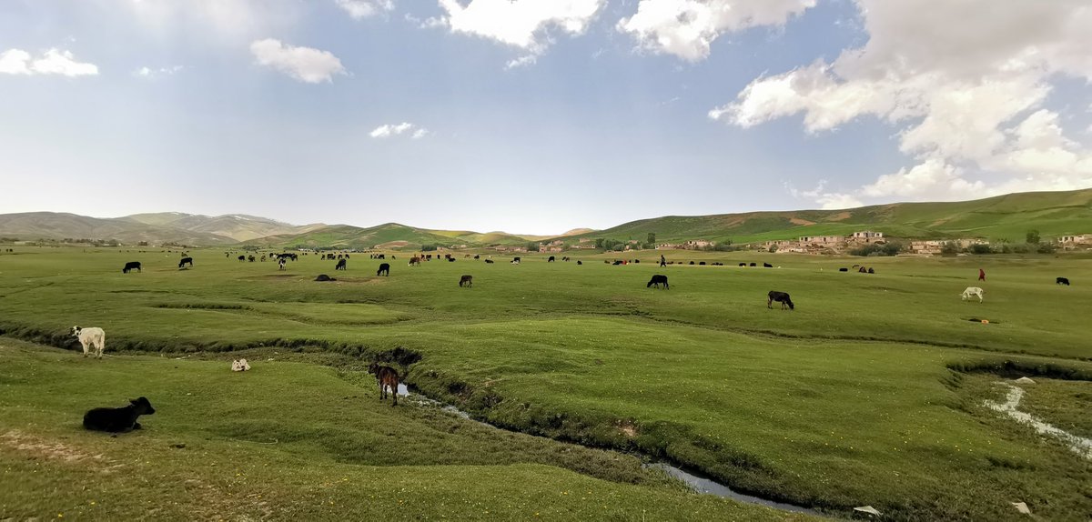 mtayeb's tweet photo. زادگاه نیاکان من..
دشت درنگ، یاوان، بدخشان
My ancestors birthplace .. Dasht - Drang , Yawan district, Badakhshan province northeast Afghanistan 15th June 2023 https://t.co/Y7MLvj1fhd