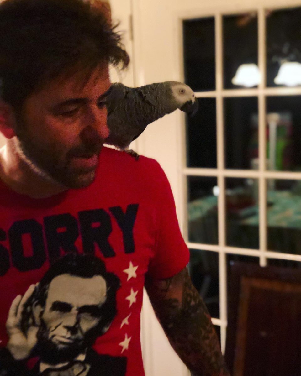 Lea Vendetta tweet media