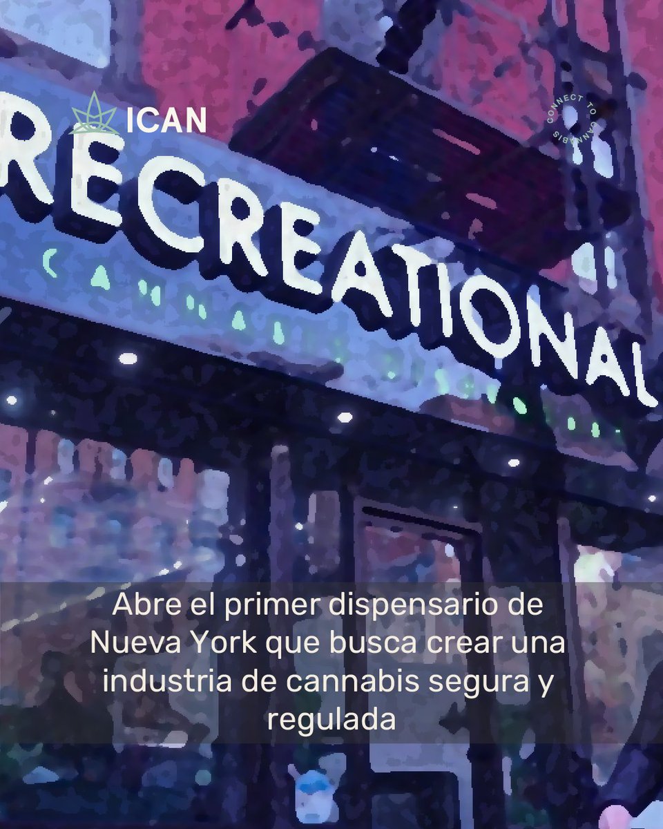 icanlat's tweet photo. Good Grades es el primer dispensario de Nueva York que cuenta con el Fondo de Inversión en Cannabis de Equidad Social del Estado. Entérate de más detalles en la siguiente nota👉 https://t.co/aUHU4G7Fm9 https://t.co/41KU0g0kOX