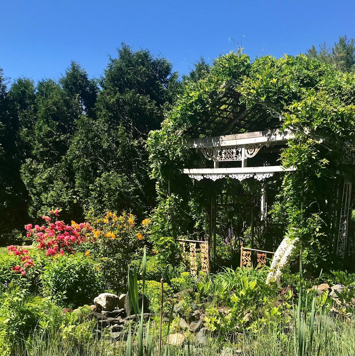 Luscious greens and the vibrant colors of summer abound in the Three Sisters Sanctuary gardens! We hope to see you soon!  #summerflowers #lushgardens #gardentours