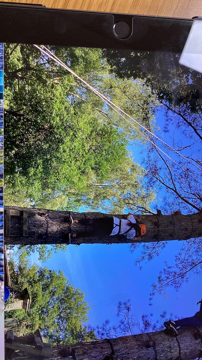 ChristChurch Primary tweet media