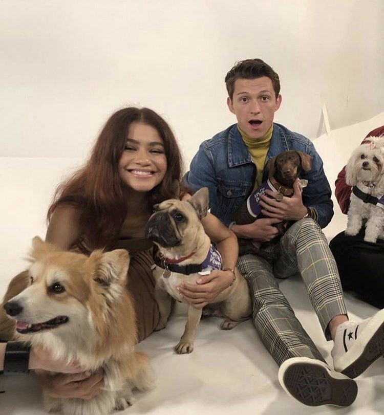 GossipRoomOff's tweet photo. 🚨 Tom Holland a révélé que sa petite-amie Zendaya, était la célébrité sur laquelle il a eu son premier crush étant enfant ! Il s'est ensuite exprimé sur leur couple : 

"Je suis heureux et amoureux. Notre relation est quelque chose que nous protégeons et que nous voulons garder aussi sacrée que possible. On se sent redevable envers personne, c'est notre truc et ça n'a rien à voir avec nos carrières." ❤️‍🔥 (via BuzzFeed)