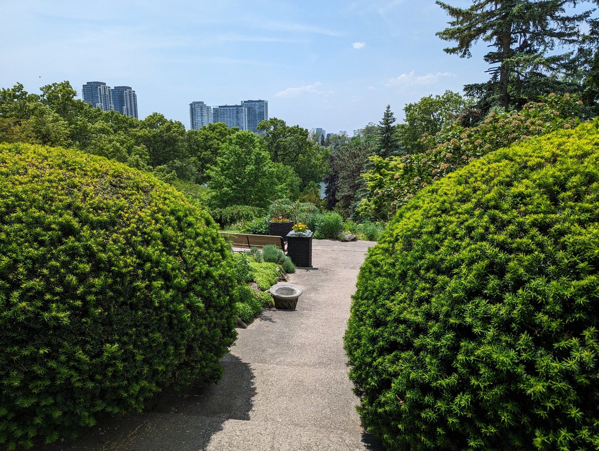 Everyday is a good day for a walk!
#LetsMoveCanada #BougeonsCanada

@letsmovecanada have you walked in @cityoftoronto's High Park? Some of the views are great!