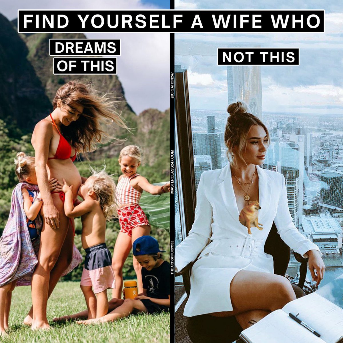 What kind of wife will you choose?