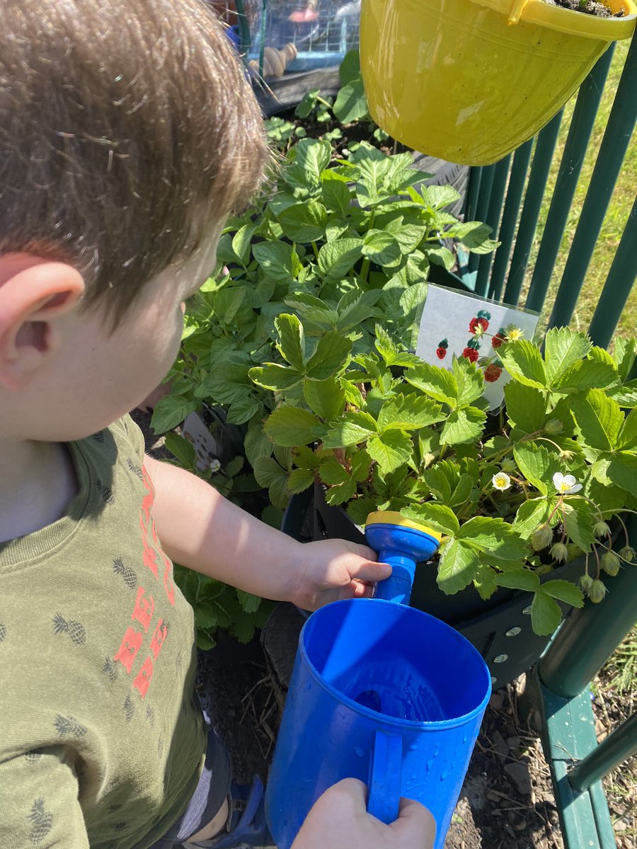 Dunbar Primary Nursery tweet media