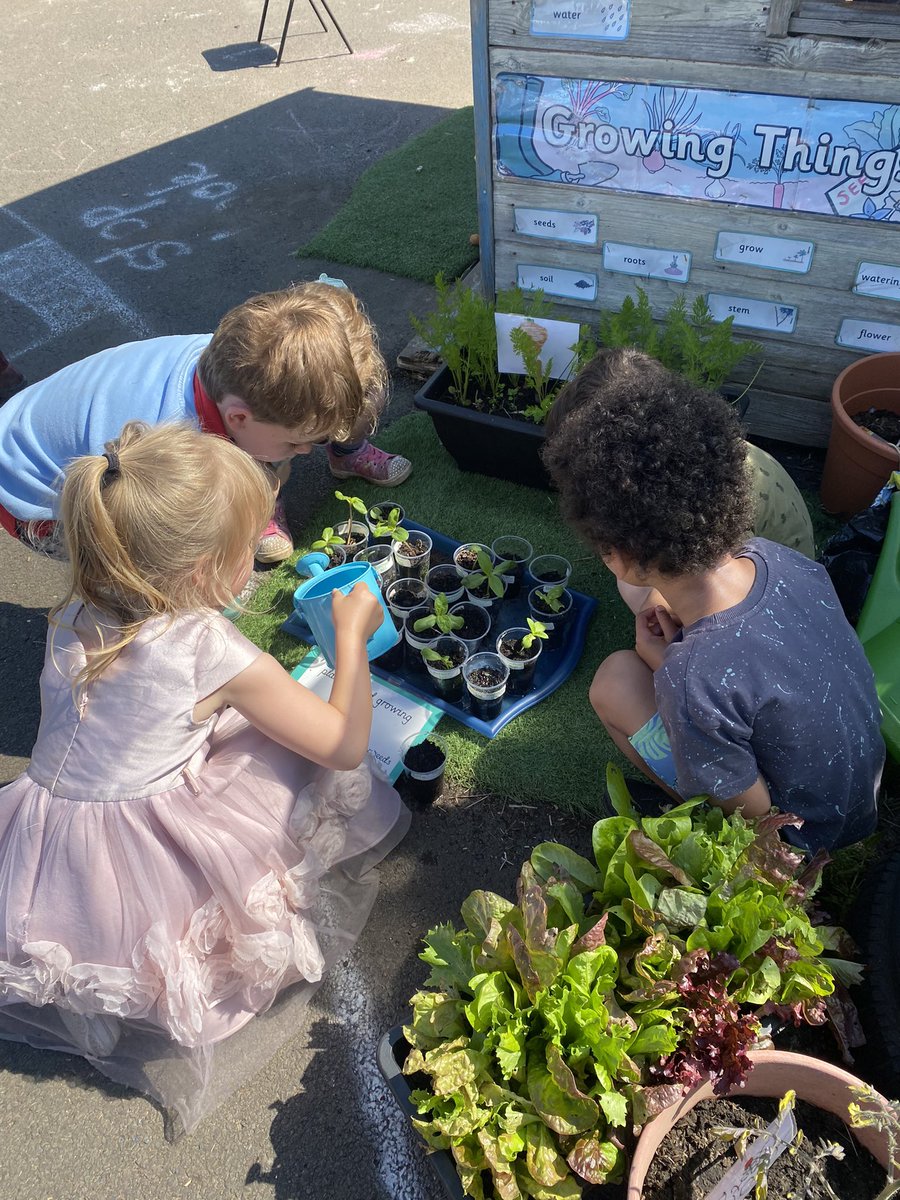 Dunbar Primary Nursery tweet media