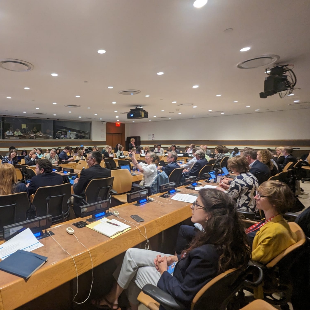 DSiupdate's tweet photo. Today Emma Bishop represented DSi at an event about political participation. She said, "I love voting. It feels good inside and makes me happy about something I’ve done. I can vote, I need help to know what the election is for. Explain, so that we can all join in with elections." https://t.co/qESty3Tzkc
