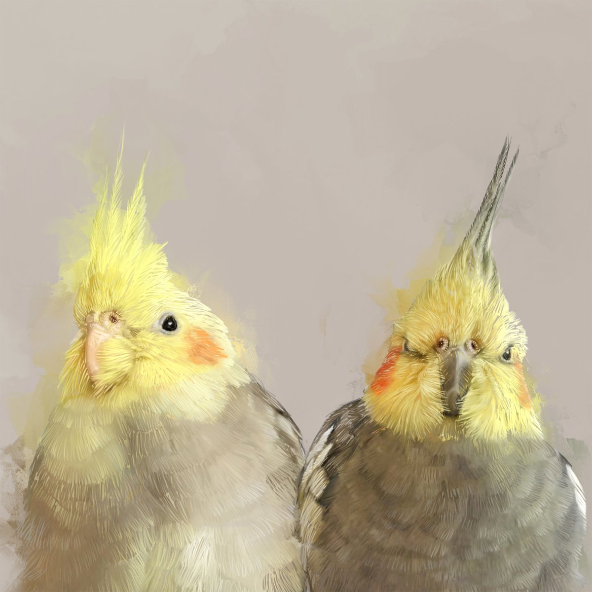 Hilltop_Pixel's tweet photo. Custom Bird Portrait, Beautiful Pet Artwork Canvas, Personalized Cockatiel Animal Wall Art Gift
#bird #birdportrait #birdart #birdartwork #custombirdart #custombirdartwork #petportrait #petportrait #birdartist #parrot #cockatoo
https://t.co/oh0mF0QBAa https://t.co/6DzCYQeqAM