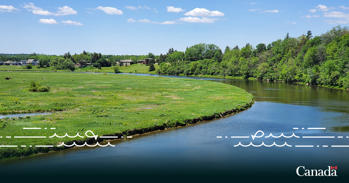 1/2 The Canada Nature Fund for Aquatic Species at Risk (CNFASAR) has identified a list of priority places across Canada and the threats their aquatic species at risk encounter.

📢We’re looking for project proposals to help support the recovery of these species at risk.