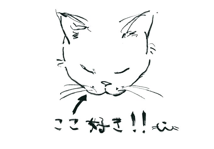 猫の好きな部分です
