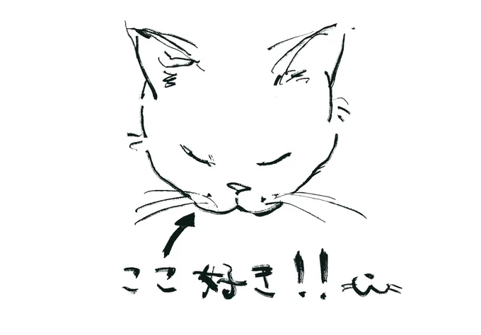 猫の好きな部分です