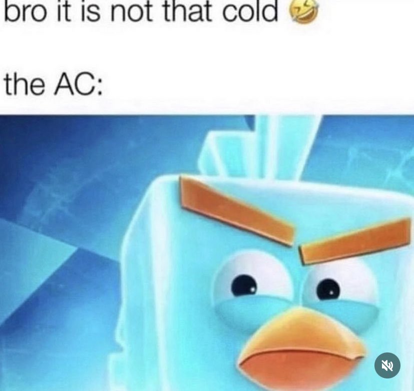 flöte's memestorage (@vollkrake) on Twitter photo 