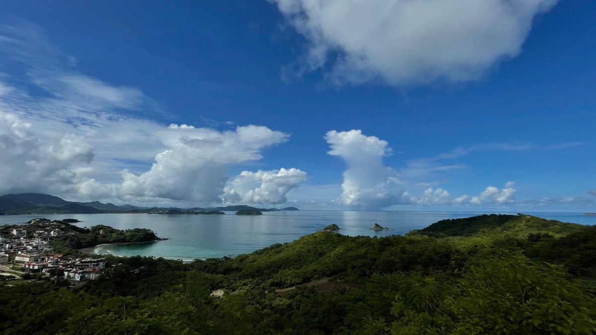 Res-Q Life tweet media